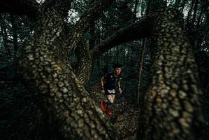 BIB: 
                            <button type="button" onclick="openModal(25690581)" class="btn btn-primary btn-sm float-right btn-popup" data-toggle="modal" data-target=".modal-high-quality">
                        <i class="fas fa-shopping-cart"></i> Add to Cart
                    </button>
                                            <button type="button" onclick="isThisMe(25690581, true)" class="btn btn-success btn-sm float-right btn-popup btn-isme hidden" data-toggle="tooltip" data-placement="bottom" title="นี่คือรูปของคุณใช่ไหม คลิกที่นี่เพื่อเอาเข้าอัลบั้ม">
                        <i class="fas fa-plus"></i> Add to album
                    </button>
                    <button type="button" onclick="isThisMe(25690581, false)" class="btn btn-warning btn-sm float-right btn-popup btn-isnotme hidden">
                        <i class="fas fa-ban"></i> Remove from album
                    </button>